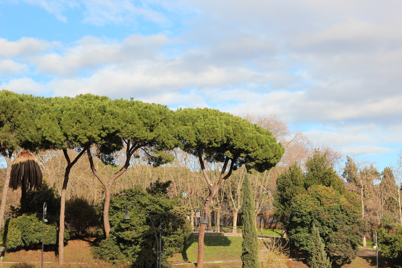 Italy (Jan 2012) 128.jpg
